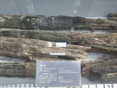 -西安大唐西市博物馆