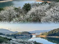 -广州市流溪河国家森林公园