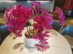 -上海小南国(正大店)