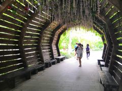 -合肥滨湖国家森林公园