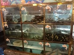 -三道苗苗鱼·美蛙黄辣丁(八里店)