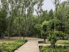 -长广溪湿地公园