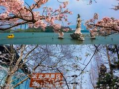 -鸡鸣寺