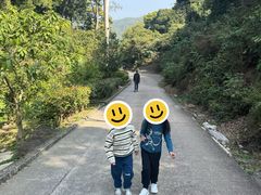 -狮子山郊野公园