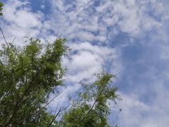-港澳广场购物中心