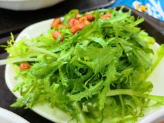 凉拌苦菊-北大学一食堂