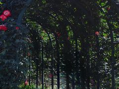 -郑州植物园