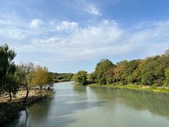 -东园小馆·早茶·淮扬小炒(宋夹城店)