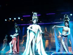 -金东尼人妖秀
