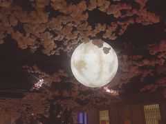 -蓝鲸湾汤泉(包河店)