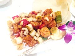 莲苑中餐厅-将军日本餐厅·Shogun 传统日料·铁板烧·板前料理(厦门马哥孛罗东方大酒店)