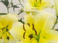 -凯乐会量贩KTV(国防大厦总店)
