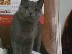 -纳吉亚猫专科动物医院博雅分院