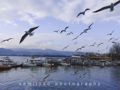 -海埂大坝