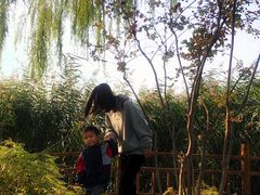 -燕郊植物园