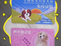 -瑞派申生动物医院·24H夜诊·国际动物医疗中心·骨外科(吴中路店)