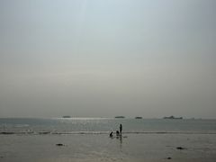 -北海金海湾红树林生态旅游区