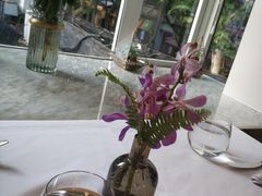 -蝶舍·MAISON PAPILLON