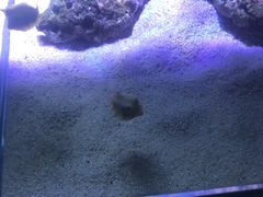 -邯郸海洋世界