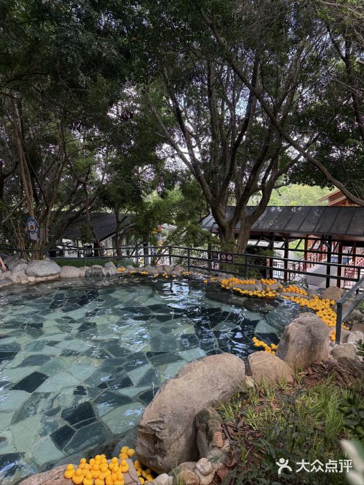 湖泉半山温泉(湖泉生态园)图片