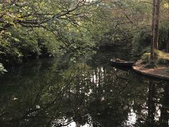 -西湖外事游船(花港观鱼码头)