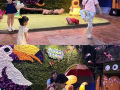 -正佳雨林生态植物园