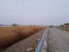-浏河古镇
