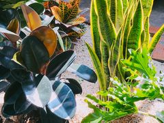 -manabe (共和新路店)