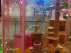 -吾悦广场(天津和平店)