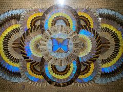 -上海昆虫博物馆