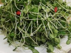 -团圆食府(新东路店)