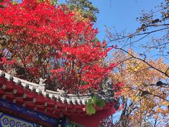 -本溪关山湖风景区