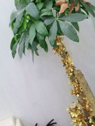 -悟空祛痘·诺奖技术专业店