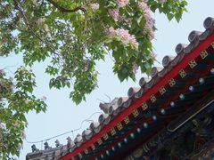 -北京艺术博物馆(万寿寺)