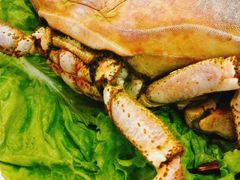 -北方饺子王·海肠捞饭·海鲜锅(山大店)