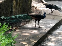 -燕塞湖鸟语林景区