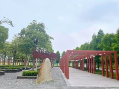 -春花秋色城市公园