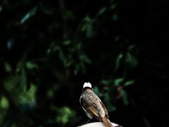 -昆山城市生态森林公园