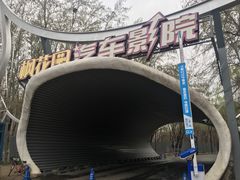 -枫花园汽车电影院(朝阳公园店)