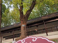 -苏州文庙(姑苏区)