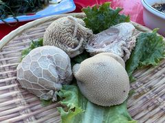肚包肉-沽源味道蒙餐莜面家常菜