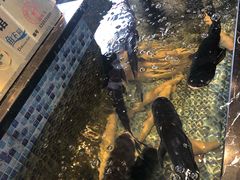 -蒋公馆家宴(江阴店)
