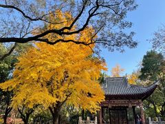 -汇龙潭