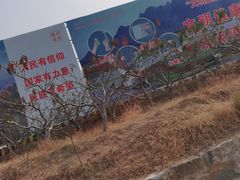 -徂徕山森林康养度假谷温泉