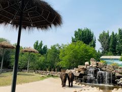 -北京野生动物园