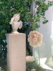-MuseMarry婚纱(前海嘉里中心店)
