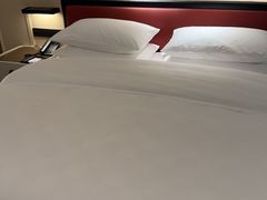 -沈阳瑞士酒店