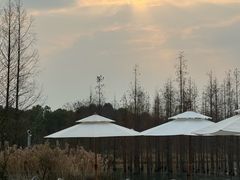 -白鹭湾湿地公园