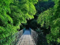 -众神白水涧景区