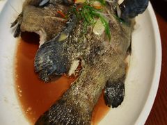 -渔傅印象滩涂霞浦海鲜(井大路店)